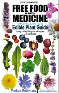 FreeFoodMedicineBook-Cover205-widget